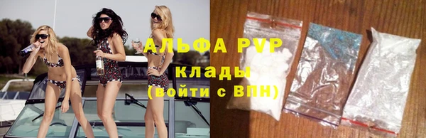 сатива Алзамай