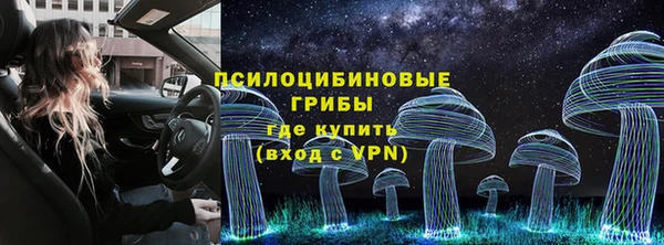 сатива Алзамай