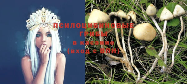 молекула духа Алексеевка