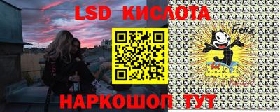 крисы Сосновый Бор