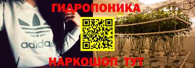 дурь Кингисепп