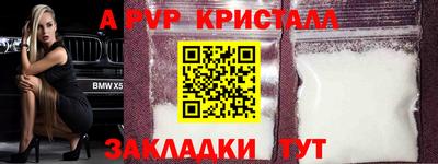 дурь Кингисепп