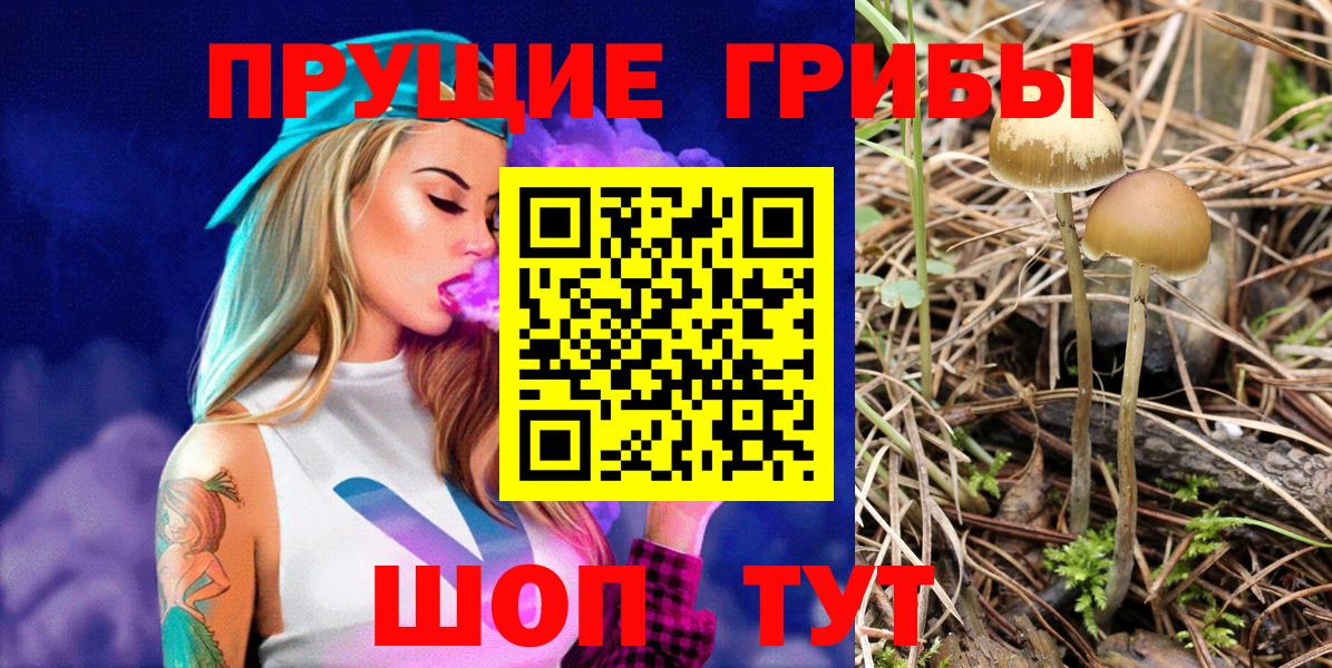 Псилоцибиновые грибы MAGIC MUSHROOMS Котлас